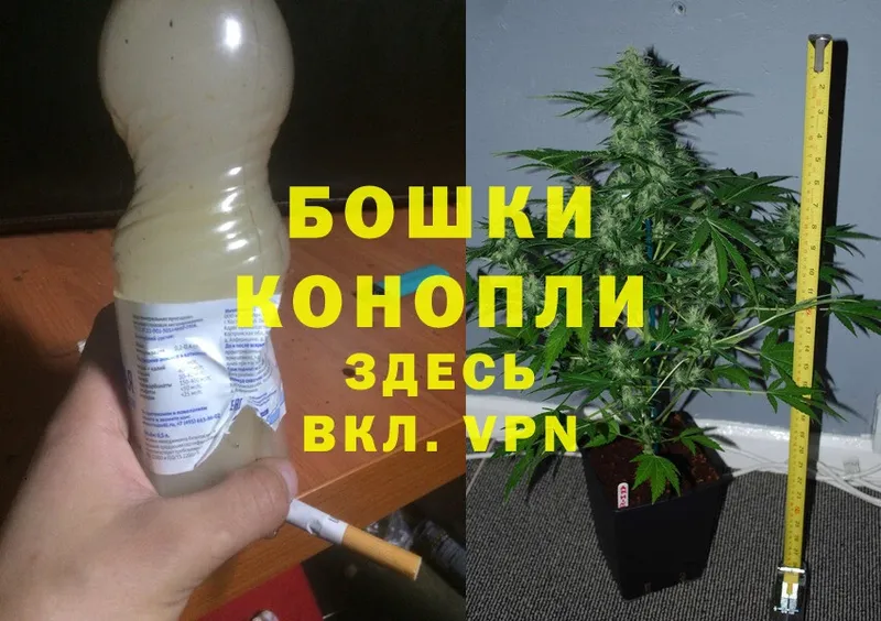 Бошки Шишки THC 21%  Ступино 